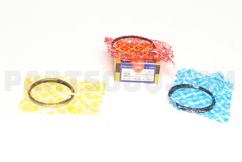NPR SWN30154ZZ025 PISTON RING SET