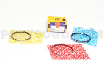 NPR SWN30154ZZ025 PISTON RING SET