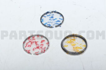 NPR SWS20196ZYSTD RING PISTON STD M15A
