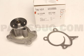 NPW N101 WATER PUMP
