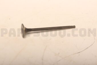 Nissan 132025RB0A VALVE EXHAUST (AFS 18/06)