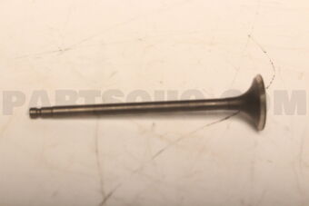 Nissan 132025RB0A VALVE EXHAUST (AFS 18/06)
