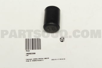 Nissan 1405825500 CAP