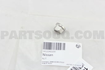 Nissan 14122AD200 NUT