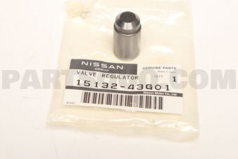 Nissan 1513243G01 VALVE