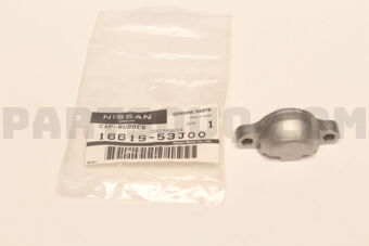 Nissan 1661953J00 CAP-INJECTION NOZZLE
