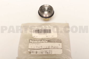 Nissan 16785V0700 PLUG