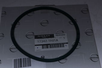Nissan 173421HJ1A PACKING