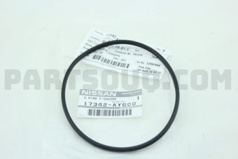 Nissan 17342AY600 PACKING-FUEL GAUGE