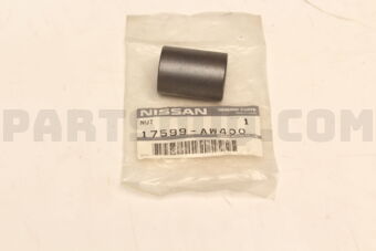 Nissan 17599AW400 NUT