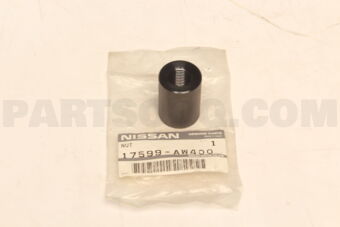 Nissan 17599AW400 NUT