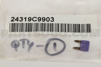 Nissan 24319C9903 FUSE