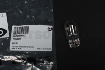 Nissan 2626189947 BULB