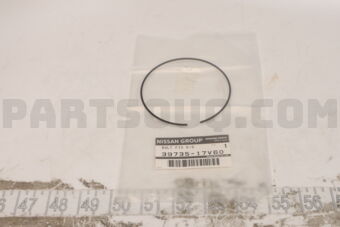 Nissan 3973517V60 RING-SNAP