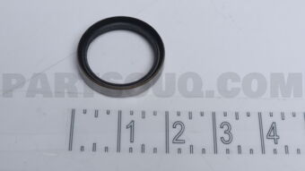 Nissan 43252T9300 SEAL-OIL RR