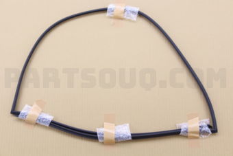 Nissan 727524CC0B MLDG WS UPPER