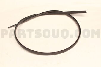 Nissan 73852ED000 MOULDING-ROOF DRIP,RH