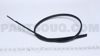Nissan 73853ED400 MOULDING-ROOF DRIP,LH