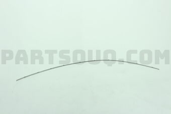 Nissan 768133SG0A MOULDING-DRIP,LH