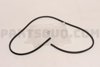 Nissan 76925VD205 WELT-BACK DOOR
