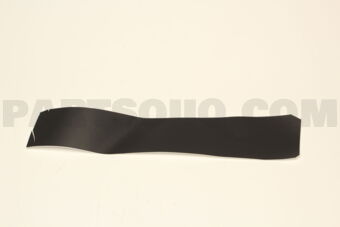 Nissan 808124EA0A TAPE-FRONT DOOR