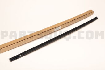 Nissan 808213KA0B MOULDING DOOR