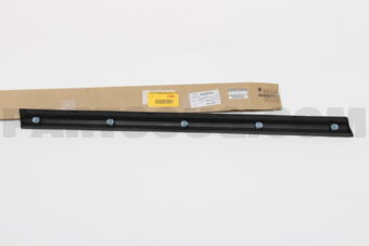 Nissan 80870CA000 MOULDING