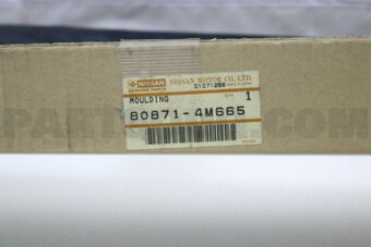 Nissan 808714M665 MOULDING