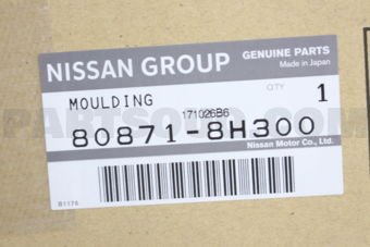 Nissan 808718H300 MOULDING-FRONT DOOR,LH