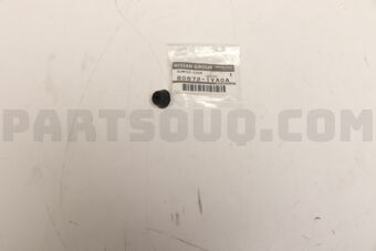 Nissan 808721VA0A BUMPER-DOOR