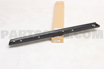 Nissan 80877JG00A MOULDING-FRONT DOOR,LH