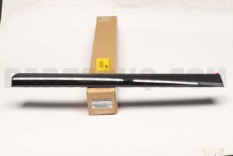 Nissan 828701AA3A MOULDING-REAR DOOR,RH