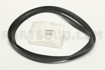 Nissan 84830EW000 WSTRIP-TRUNK LI