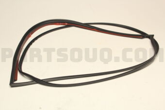 Nissan 90352CD000 MOULDING T/G