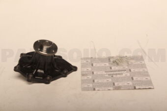 Nissan B10100T000 PUMP KIT-WATER