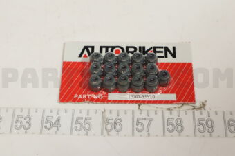 RIKEN 1320753Y00 VALVE SEAL B13