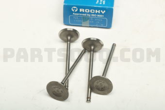 ROCKY NA1110 ENGINE VALVE 4 PCS)