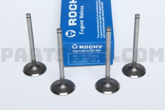 ROCKY NA1140 ENGINE VALVE IN 4 PCS