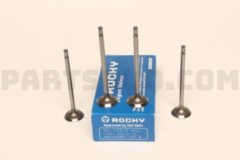 ROCKY NA1490 ENGINE VALVE IN 4PCS