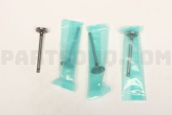 ROCKY SB110 ENGINE VALVE-EX 4PCS)