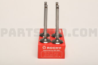 ROCKY TB510 ENGINE VALVE-EX 4 PCS