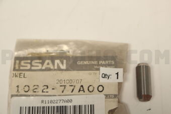 Renault 1102277A00 BLOCK PLUG