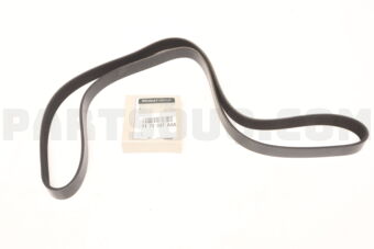 Renault 117203TA0A BELT-ALTNTR FRYR2017