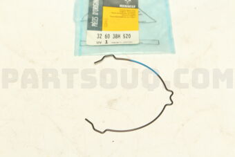 Renault 326038H520 SYNCHRO SPRINGS