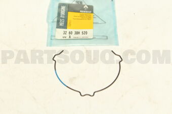 Renault 326038H520 SYNCHRO SPRINGS