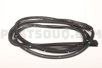 Suzuki 84641M79M00 WEATHERSTRIP, DOOR OPNG RH