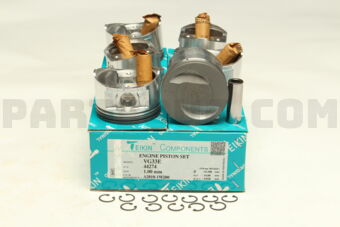 TEIKIN 44274100 PISTON SET 100 VG33E (SET OF 1)