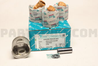 TEIKIN 44619AGSTD PISTON SET STD BD30 ALFIN GALLERY (SET OF 1)