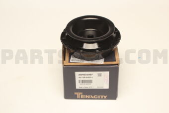 TENACITY 4171063J11 STRUT MOUNTING