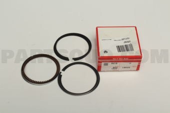 TP 323813F025 PISTON RING
